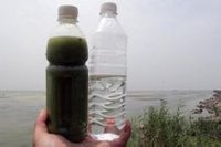安徽巢湖水樣(左)與飲用水對比 安徽巢湖水樣(左)與飲用水對比